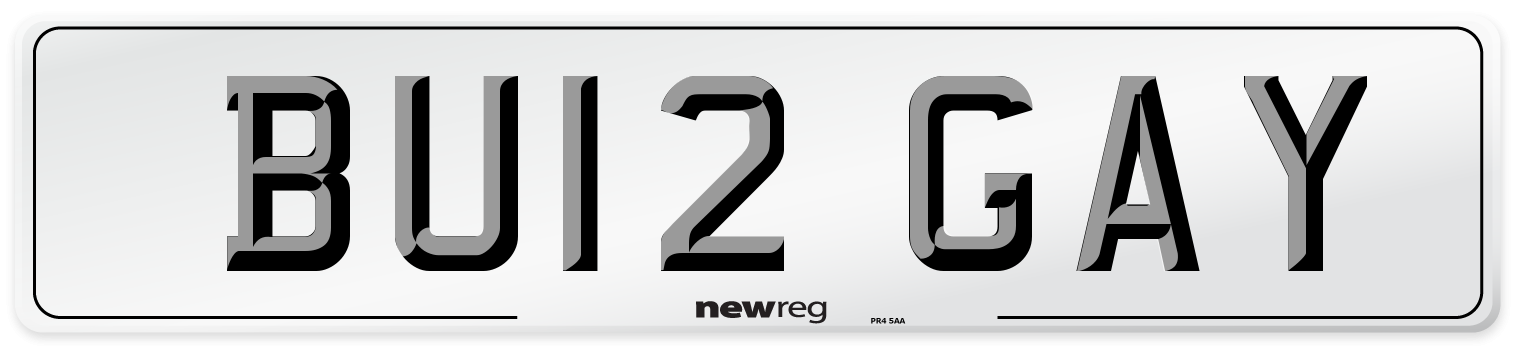 BU12 GAY Number Plate from New Reg